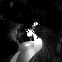 http://studio-max.org/files/dimgs/thumb_0x200_3_23_94.jpg